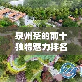 泉州茶的前十独特魅力排名揭晓！