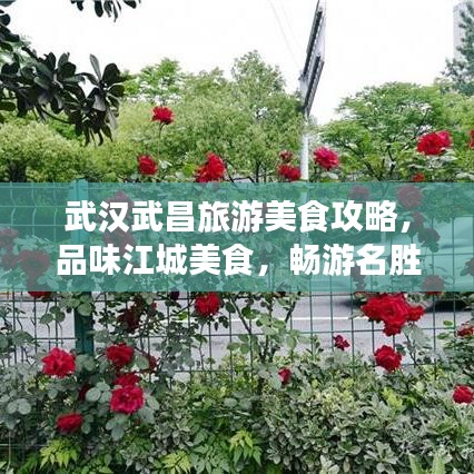武汉武昌旅游美食攻略，品味江城美食，畅游名胜景点，畅游武昌不容错过！