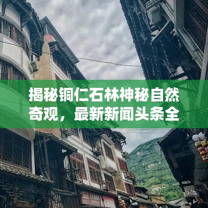 揭秘铜仁石林神秘自然奇观，最新新闻头条全掌握