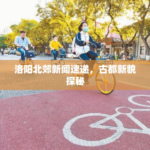 洛阳北郊新闻速递，古都新貌探秘