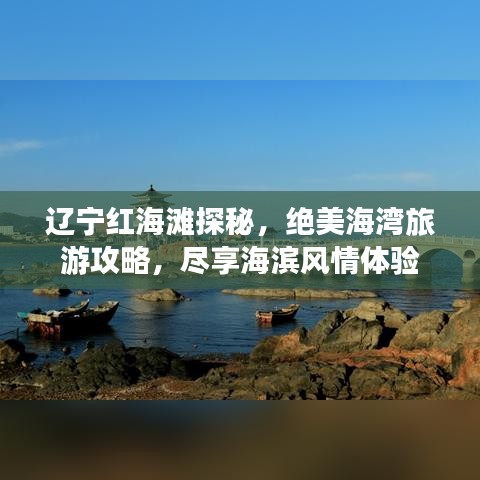 辽宁红海滩探秘，绝美海湾旅游攻略，尽享海滨风情体验