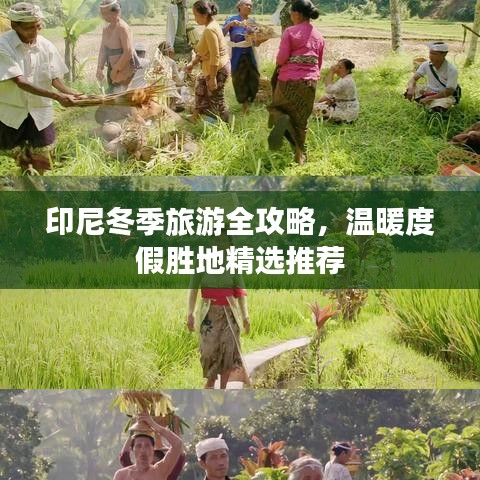 印尼冬季旅游全攻略，温暖度假胜地精选推荐