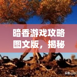 暗香游戏攻略图文版，揭秘游戏世界的隐秘路径