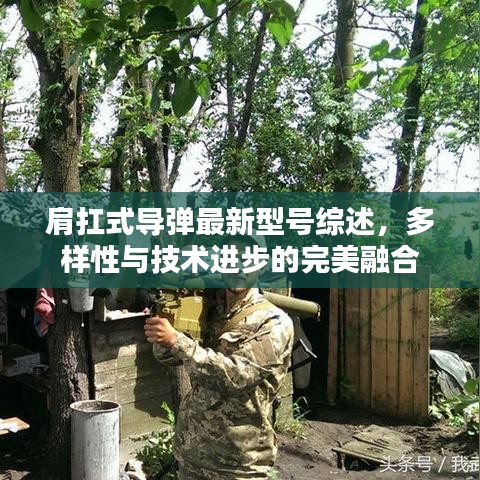 肩扛式导弹最新型号综述，多样性与技术进步的完美融合