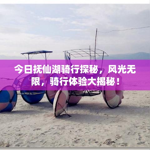 今日抚仙湖骑行探秘，风光无限，骑行体验大揭秘！