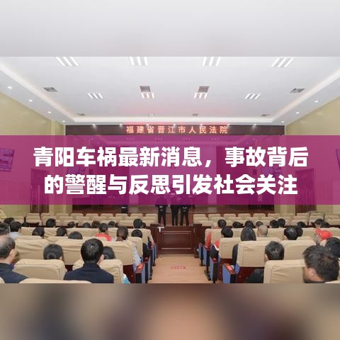 青阳车祸最新消息，事故背后的警醒与反思引发社会关注