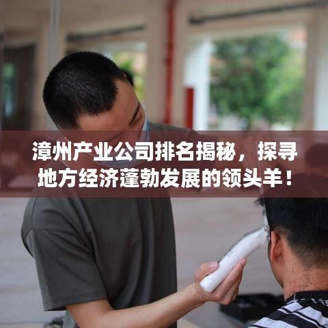 漳州产业公司排名揭秘，探寻地方经济蓬勃发展的领头羊！