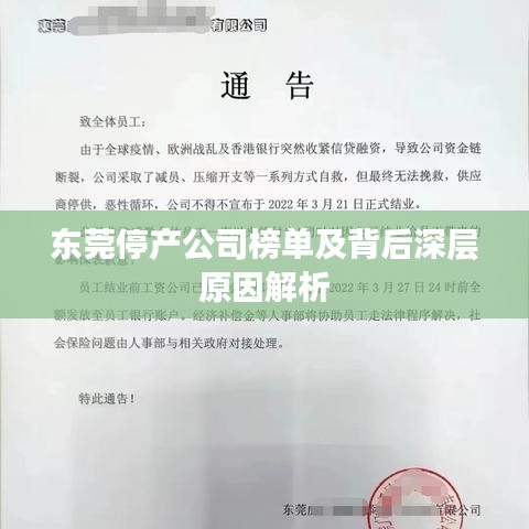 东莞停产公司榜单及背后深层原因解析