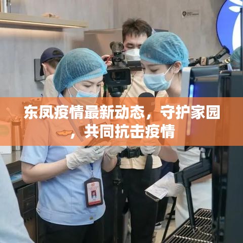 东凤疫情最新动态，守护家园，共同抗击疫情