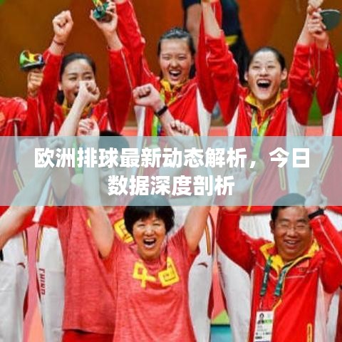 欧洲排球最新动态解析，今日数据深度剖析