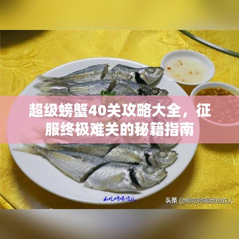 超级螃蟹40关攻略大全，征服终极难关的秘籍指南