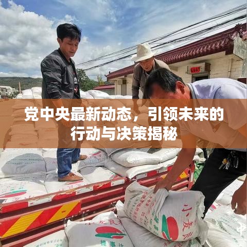 党中央最新动态，引领未来的行动与决策揭秘