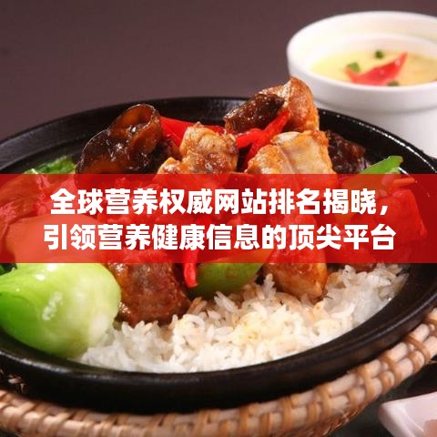 全球营养权威网站排名揭晓，引领营养健康信息的顶尖平台