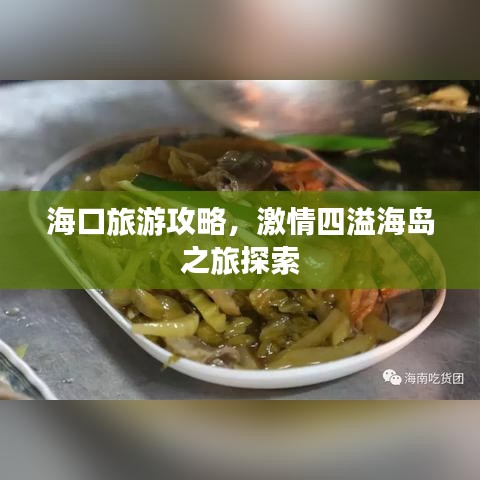 海口旅游攻略，激情四溢海岛之旅探索