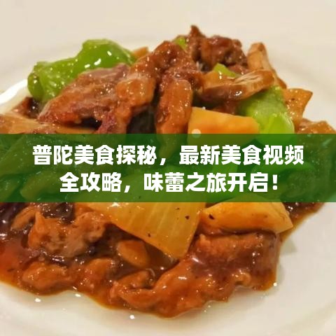普陀美食探秘，最新美食视频全攻略，味蕾之旅开启！