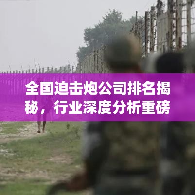 全国迫击炮公司排名揭秘，行业深度分析重磅来袭！
