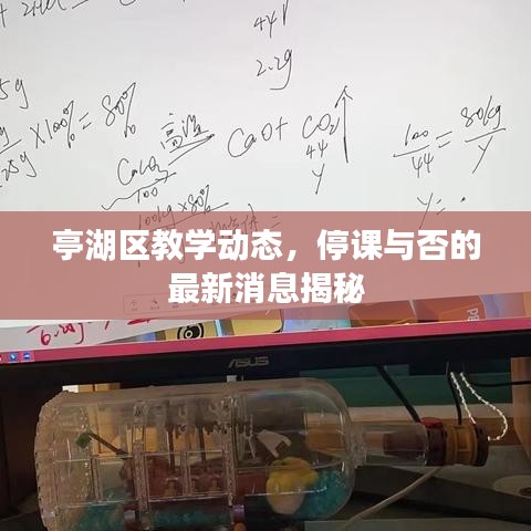 亭湖区教学动态，停课与否的最新消息揭秘