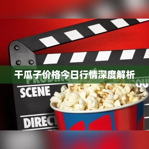 干瓜子价格今日行情深度解析