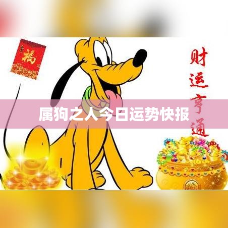 属狗之人今日运势快报