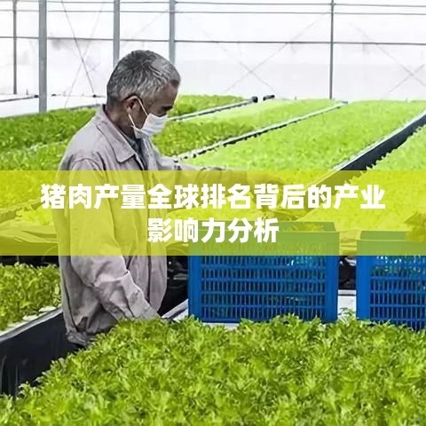 猪肉产量全球排名背后的产业影响力分析