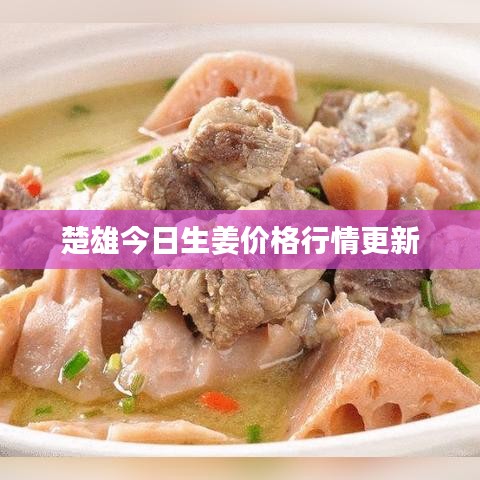 楚雄今日生姜价格行情更新