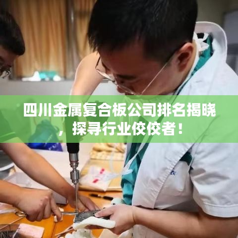 四川金属复合板公司排名揭晓，探寻行业佼佼者！
