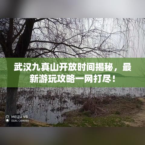 武汉九真山开放时间揭秘，最新游玩攻略一网打尽！