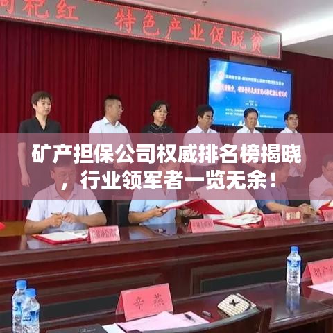 矿产担保公司权威排名榜揭晓，行业领军者一览无余！