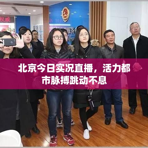 北京今日实况直播，活力都市脉搏跳动不息
