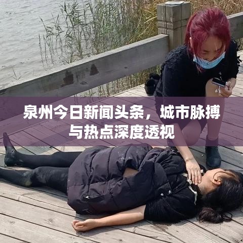 泉州今日新闻头条，城市脉搏与热点深度透视