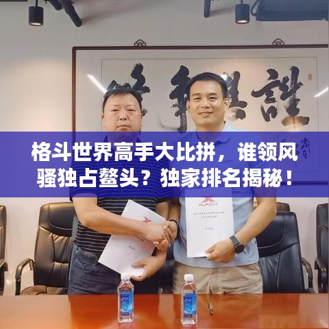 格斗世界高手大比拼，谁领风骚独占鳌头？独家排名揭秘！