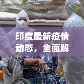 印度最新疫情动态，全面解读现状、预测未来趋势