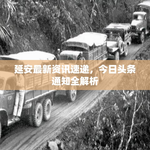 延安最新资讯速递，今日头条通知全解析