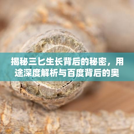 揭秘三匕生长背后的秘密，用途深度解析与百度背后的奥秘！