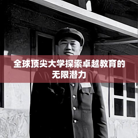 全球顶尖大学探索卓越教育的无限潜力