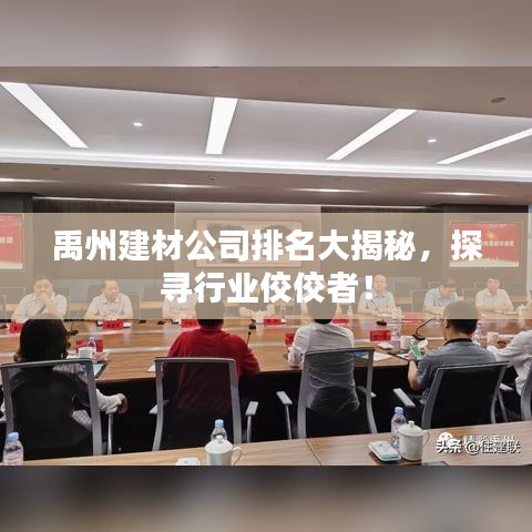 禹州建材公司排名大揭秘，探寻行业佼佼者！