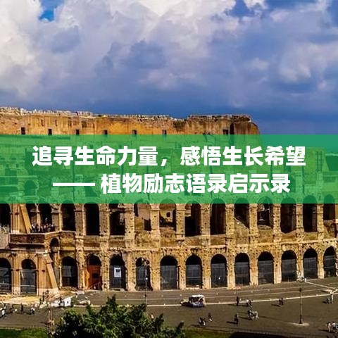 追寻生命力量，感悟生长希望 —— 植物励志语录启示录