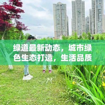 绿道最新动态，城市绿色生态打造，生活品质再升级