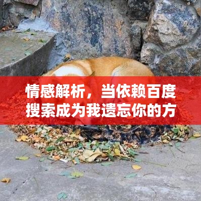情感解析，当依赖百度搜索成为我遗忘你的方式