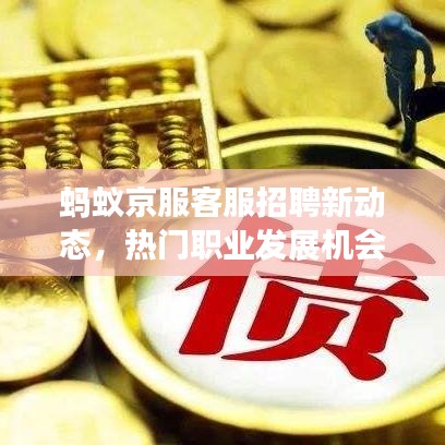 蚂蚁京服客服招聘新动态，热门职业发展机会等你来探寻