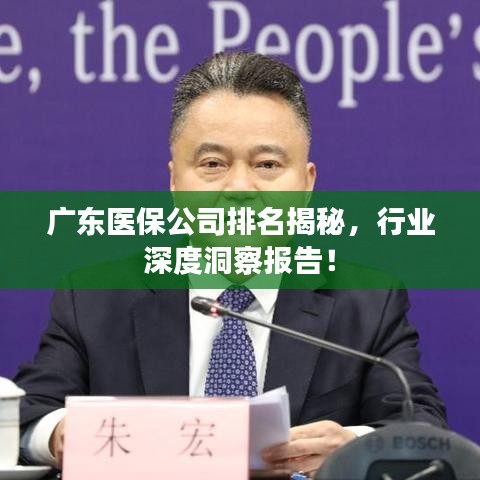 广东医保公司排名揭秘，行业深度洞察报告！