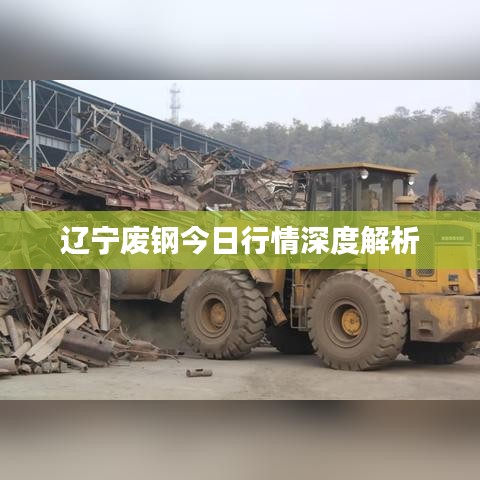 辽宁废钢今日行情深度解析