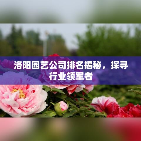洛阳园艺公司排名揭秘，探寻行业领军者