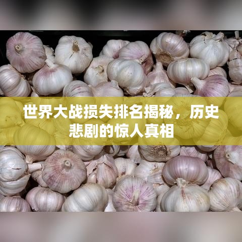 世界大战损失排名揭秘，历史悲剧的惊人真相