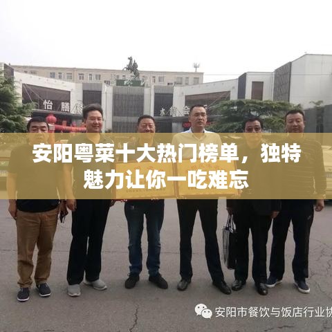 安阳粤菜十大热门榜单，独特魅力让你一吃难忘