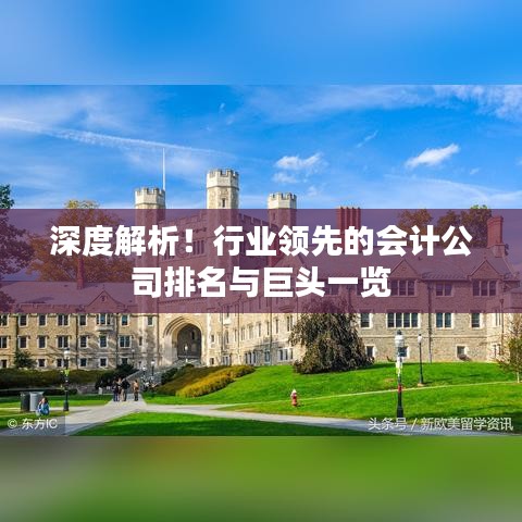 深度解析！行业领先的会计公司排名与巨头一览