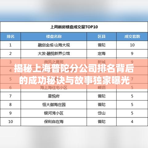 揭秘上海普陀分公司排名背后的成功秘诀与故事独家曝光