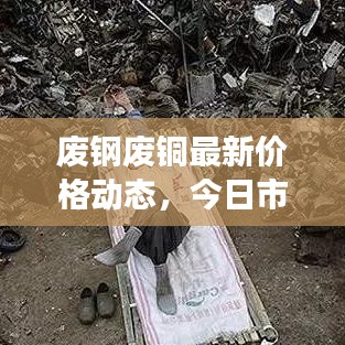 废钢废铜最新价格动态，今日市场分析报告