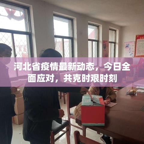 河北省疫情最新动态，今日全面应对，共克时艰时刻