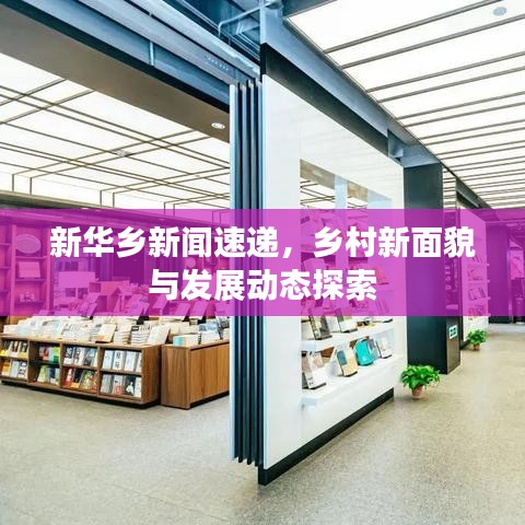 新华乡新闻速递，乡村新面貌与发展动态探索